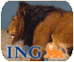 fundusz emerytalny ING- obs�uga online
